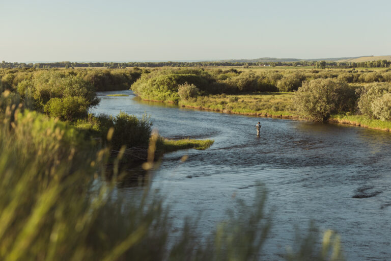 The Teton River, a blue-ribbon fishery near Tributary