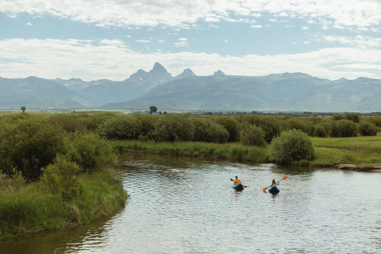 An unhurried Tributary moment