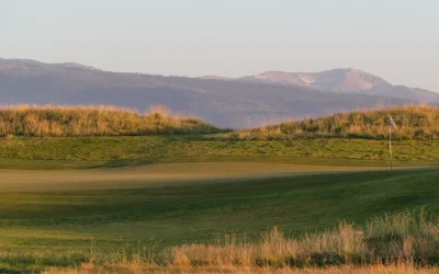 64ee38fd8f917700193a2ce1