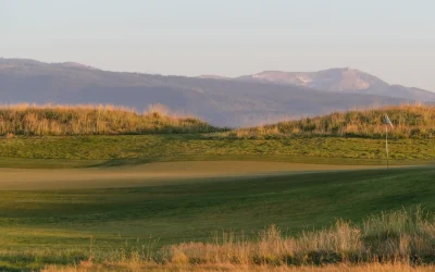 64ee38fd8f917700193a2ce1