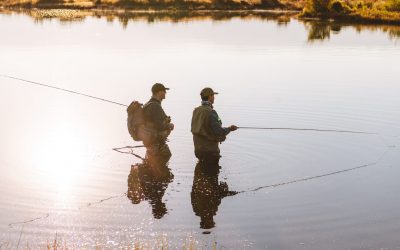 Fly Fishing - Evening Fly Fishing in Stocked Pond - Teton Valley