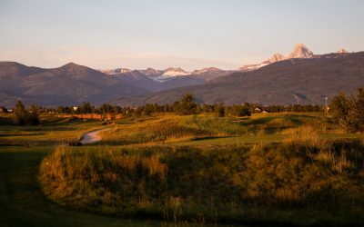 Golf Course - Homes in the Landscape - Tributary - Teton Valley Real Estate