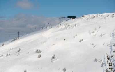 NewThought_Tributary Skiing at Targhee-5021