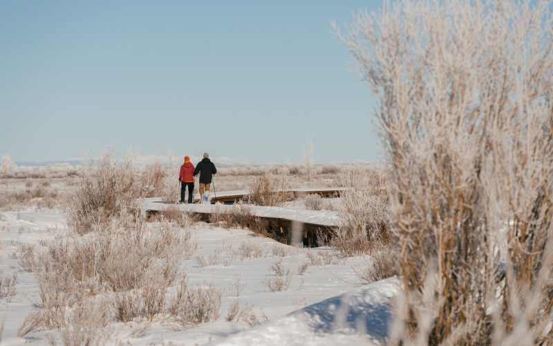 Tributary Winter Snowshoe-00659