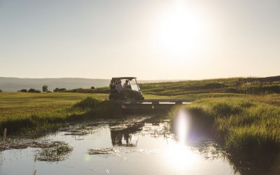 Tributary_Golf_Web-2